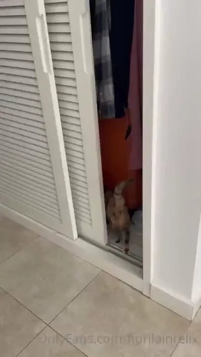 Good morning guys i am sorry i was not with you for 2-3 days but 