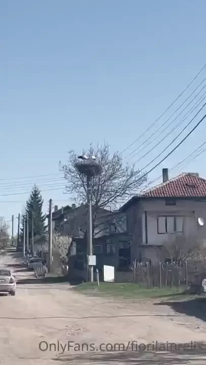 Those are some videos from a small village near sofia actually my part 6 