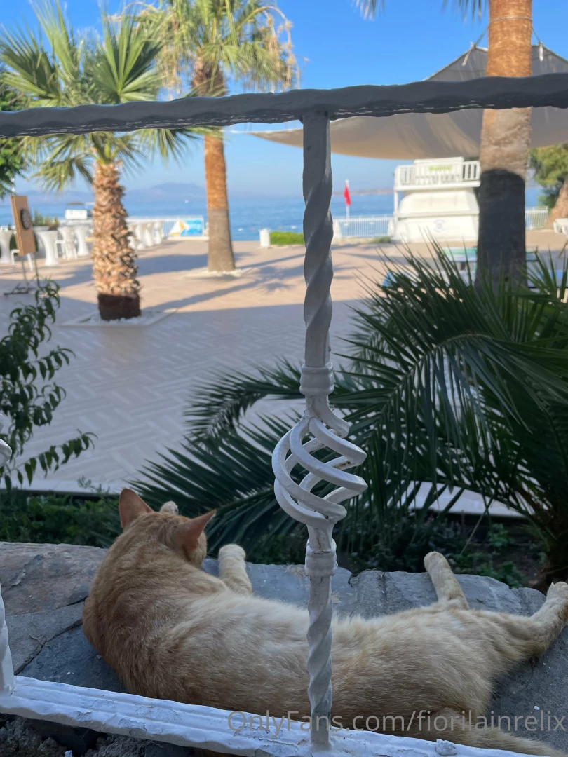 Hey guys happy monday happy new week and happy 4 of july for all of my part 5 