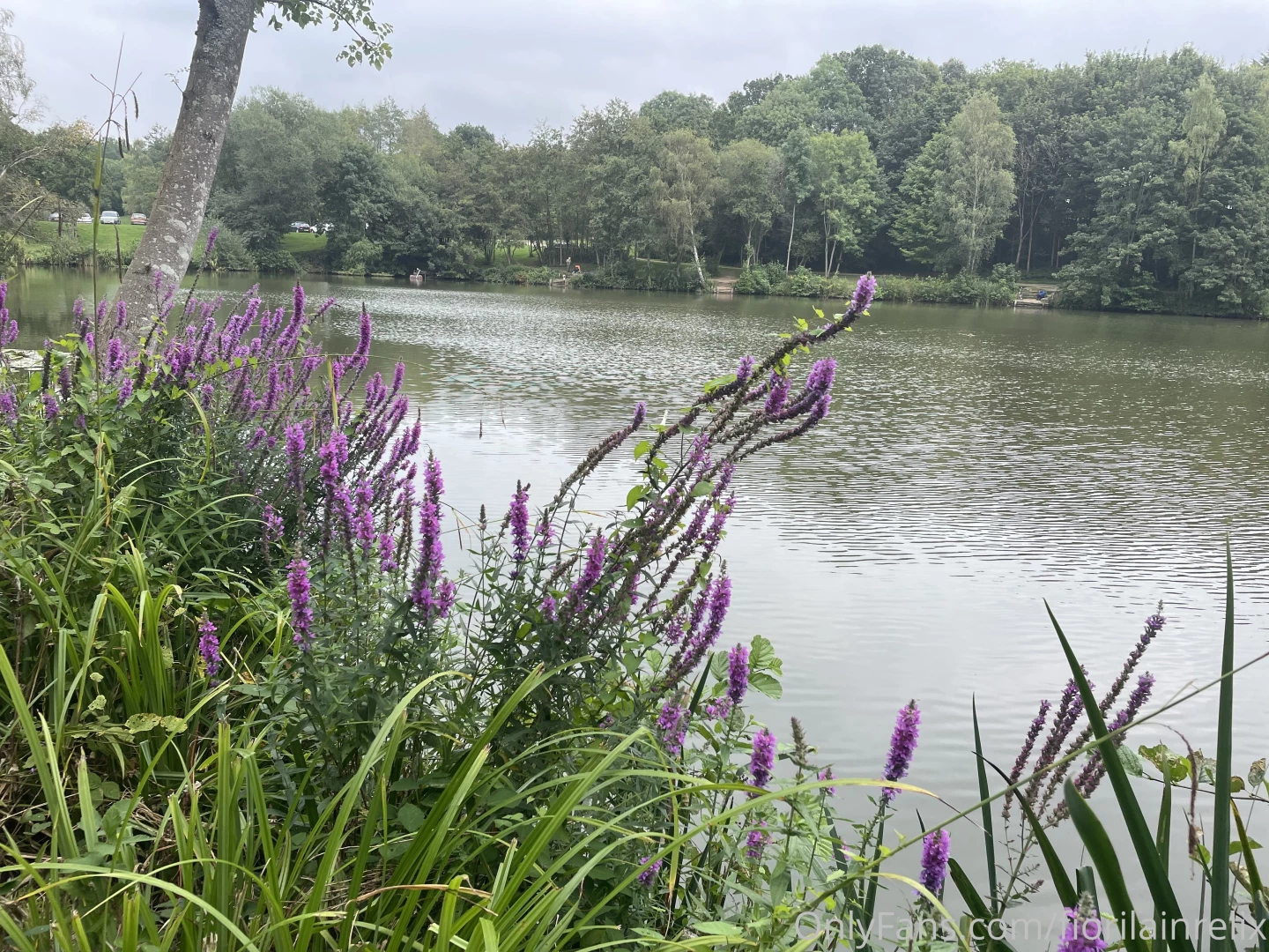 Hey guys good morning hope you are having a great weekend some part 11 