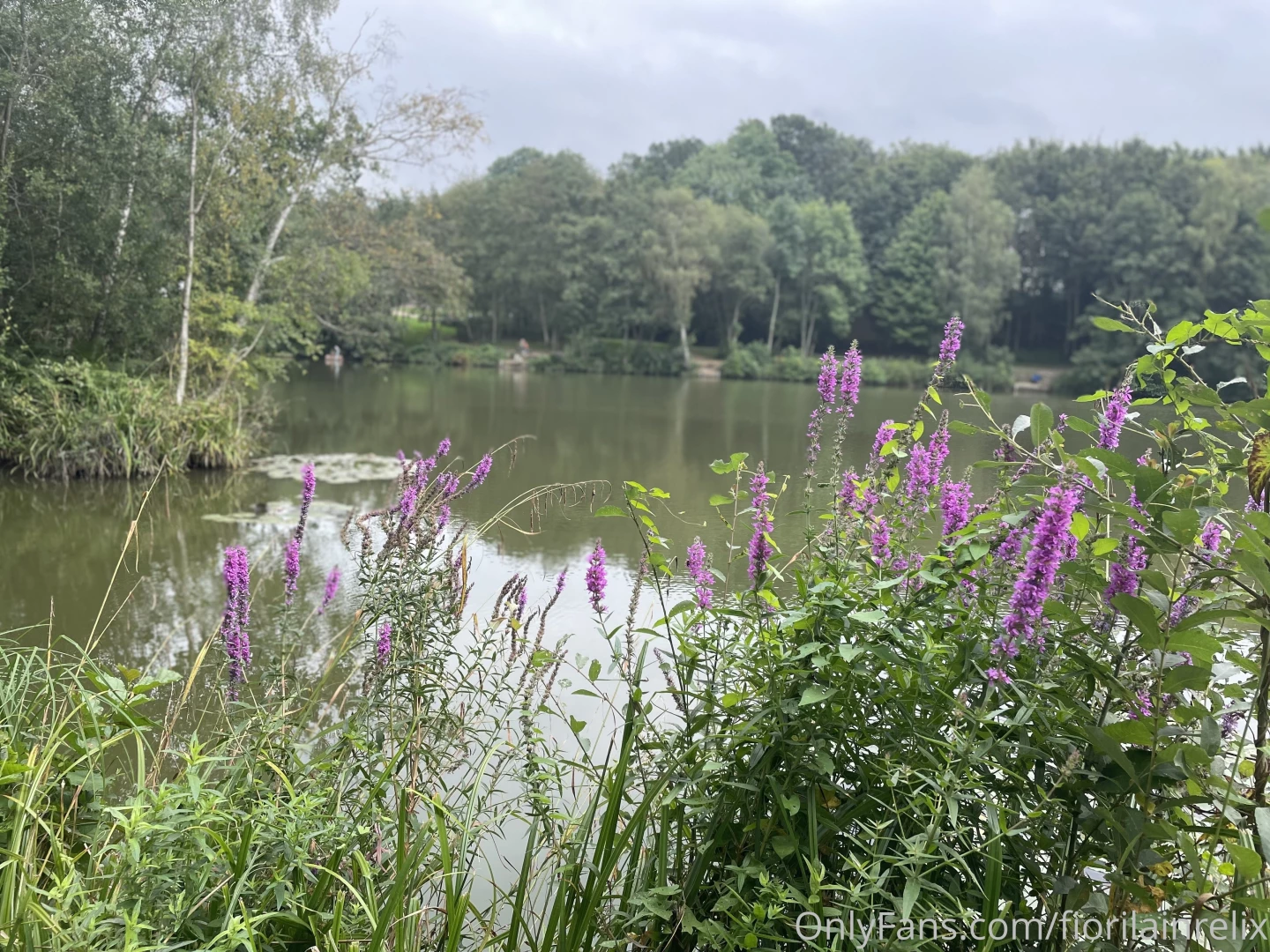 Hey guys good morning hope you are having a great weekend some part 8 