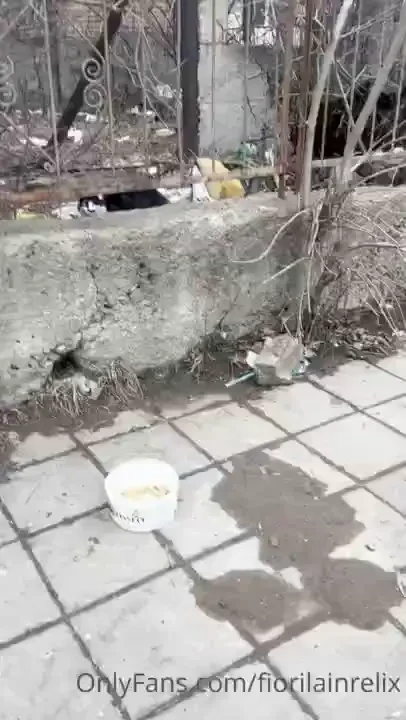 Hello guys i found these 2 puppies and can t sleep for few days i rang 