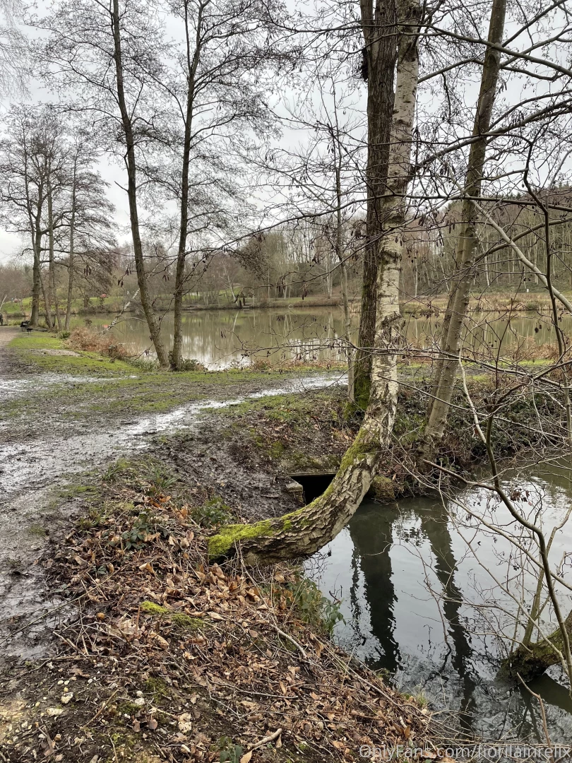 How do you prefer to see me in the forest and what would you do if you part 1 