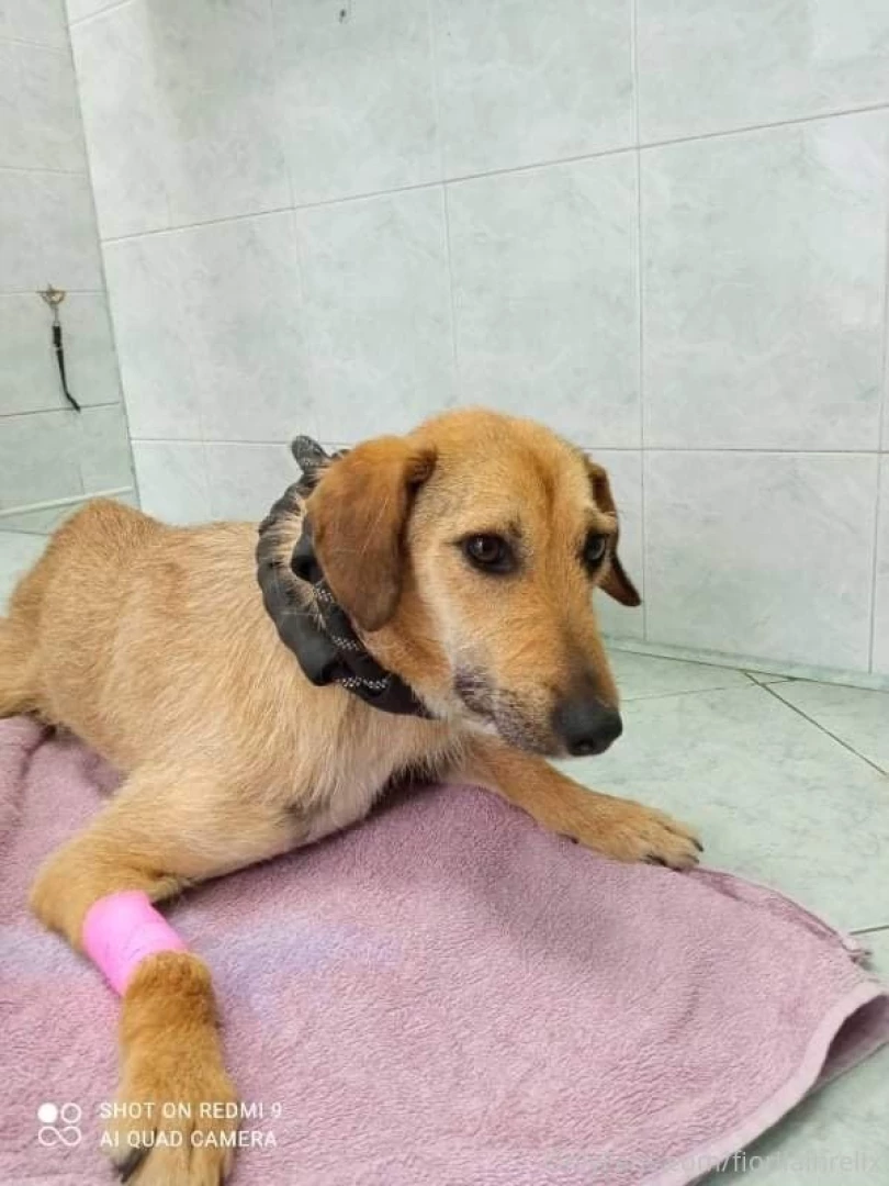 Hey guys hope you are all well and enjoying your day if you remember part 2 