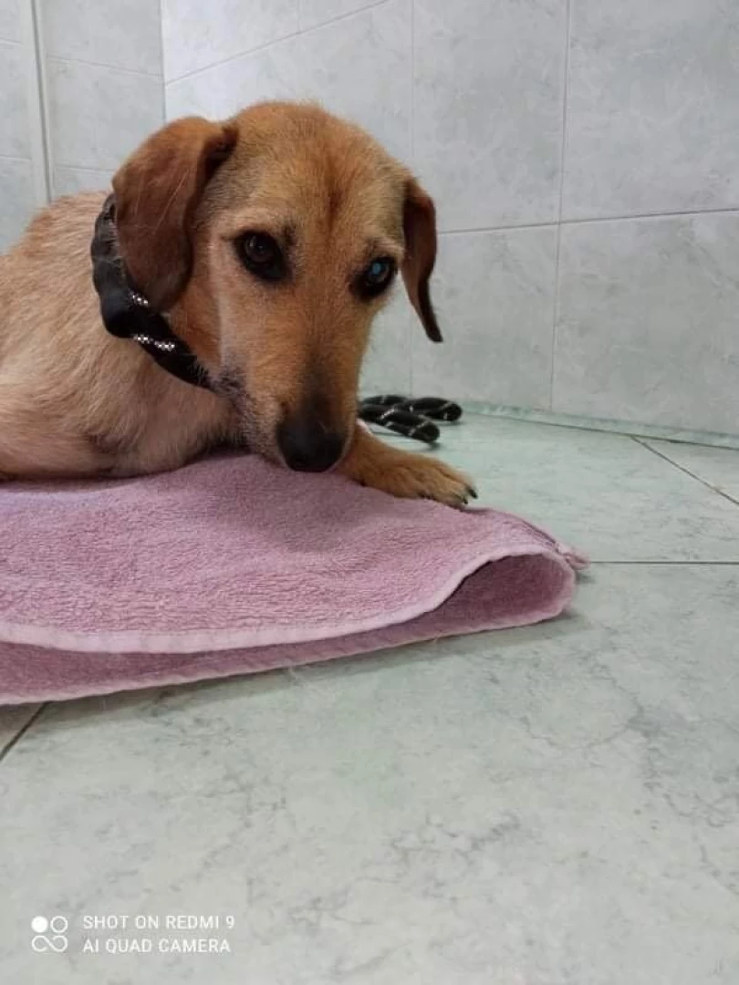 Hey guys hope you are all well and enjoying your day if you remember part 3 