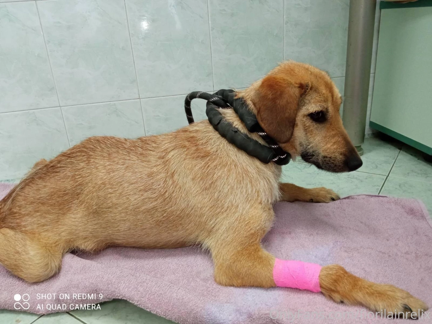 Hey guys hope you are all well and enjoying your day if you remember 