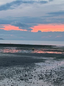 Have a lovely day guys i am on the beach but soon i am going back home part 12