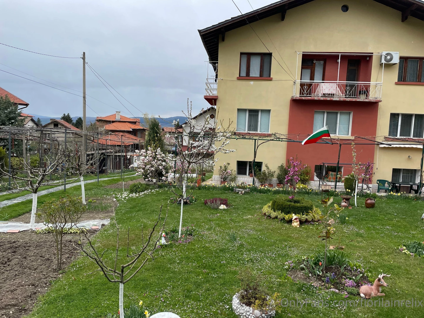 Good morning on tuesday having a wonderful time in bulgaria at 103 part 8 