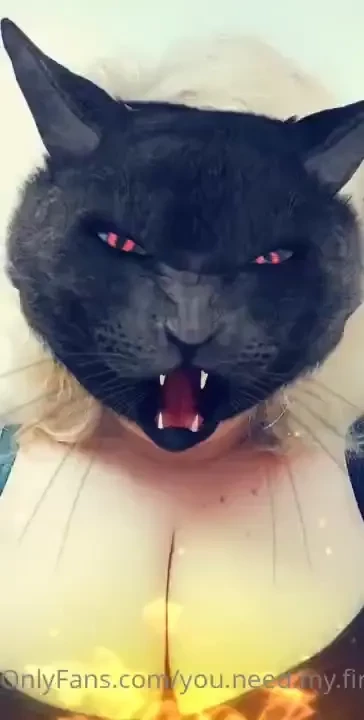 Wild cat part 11 