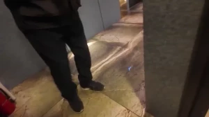 -----------------------------------------------------