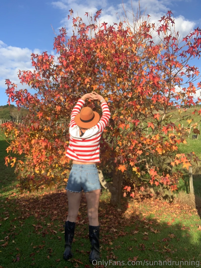 Reaching for that autumn sky 