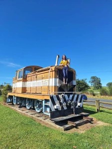 Thomas the tank engine had a friend flash the public silly thomas part 2