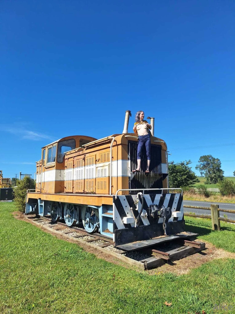 Thomas the tank engine had a friend flash the public silly thomas part 3 