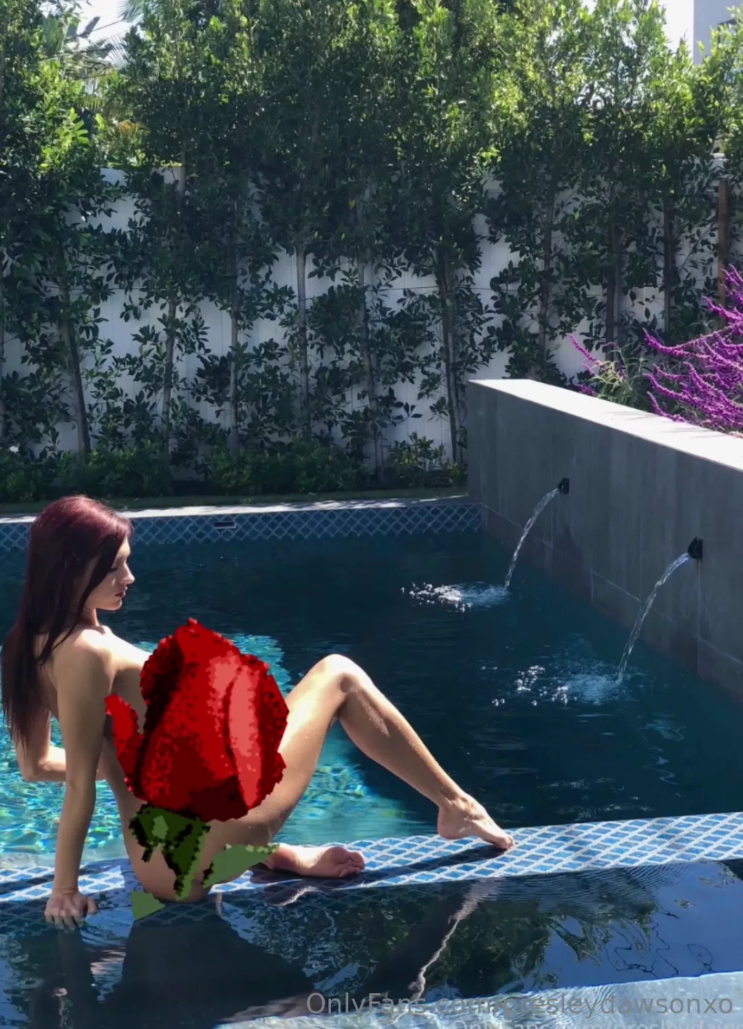 Like a rose i m soft sensual and just a little dangerous come closer 