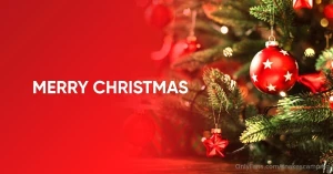 Merry christmas part 3890