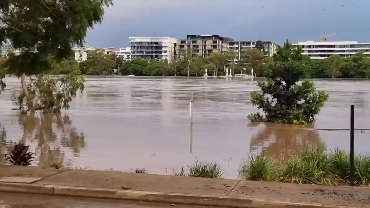 Hi i m back sorry i was absent for the last week our entire city 