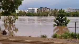 Hi i m back sorry i was absent for the last week our entire city