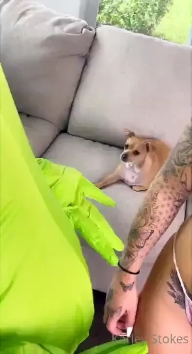 Lol justaquariusx dog he s like wtf 