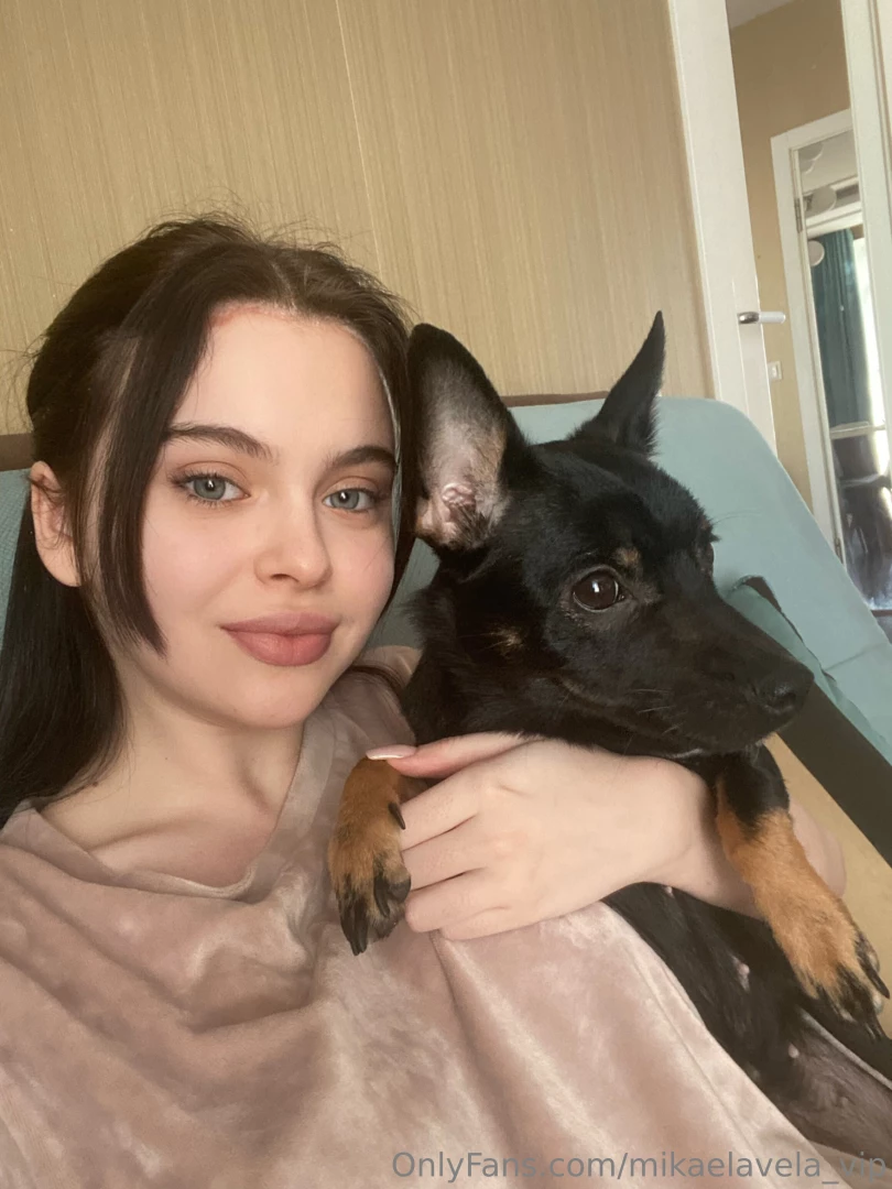 Dogs are the most loyal and most loyal friends you can imagine here 