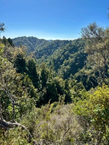 Some of the best views come after the effort is put in to climb part 2