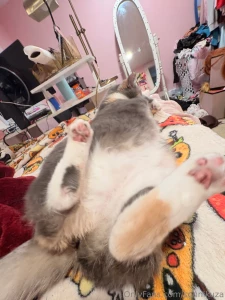 This is my kitty juniper she s four years old and yesterday was her part 4