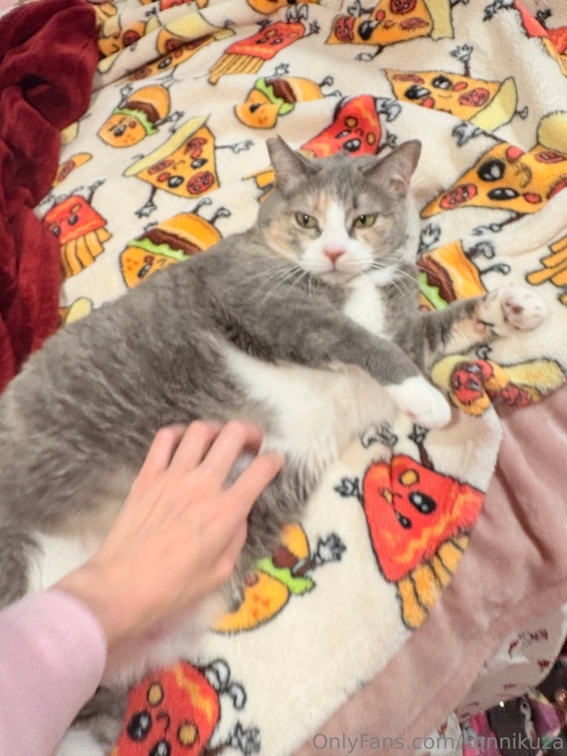 This is my kitty juniper she s four years old and yesterday was her part 1 