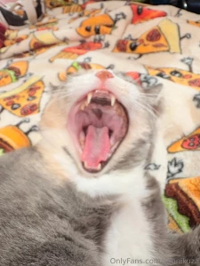 This is my kitty juniper she s four years old and yesterday was her part 2