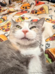 This is my kitty juniper she s four years old and yesterday was her