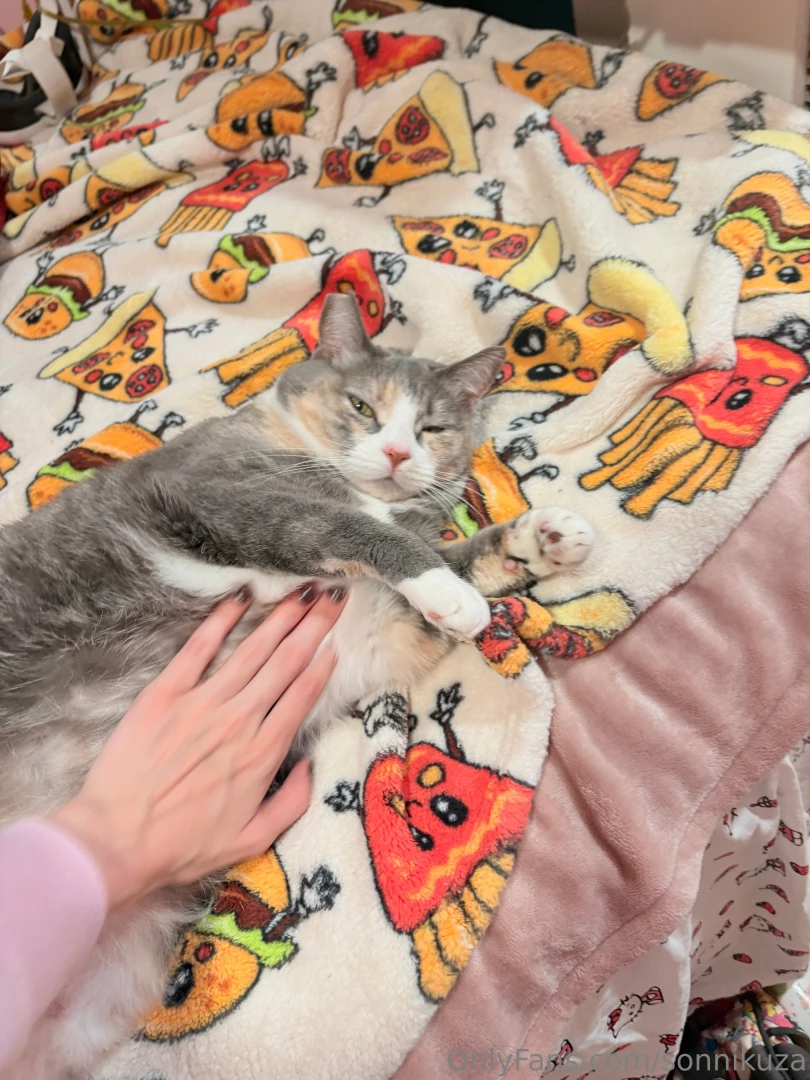 This is my kitty juniper she s four years old and yesterday was her part 3 