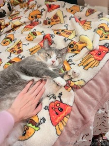 This is my kitty juniper she s four years old and yesterday was her part 3