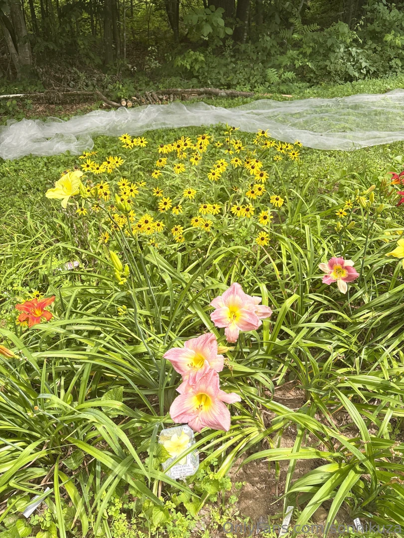 I saw some flowers yesterday part 1 