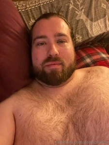 Cosy bear in bed who says hibernation is just for the winter part 2