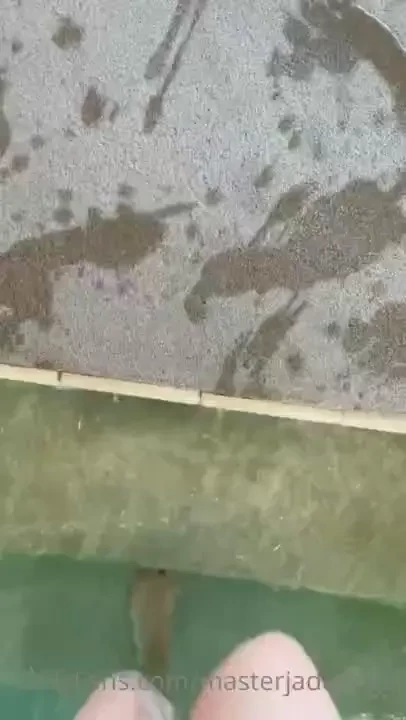 I bet you d love to go swimming with me 