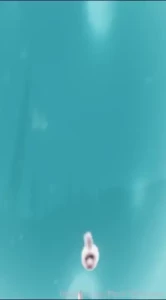 So you decided to go against what i told you here accept your