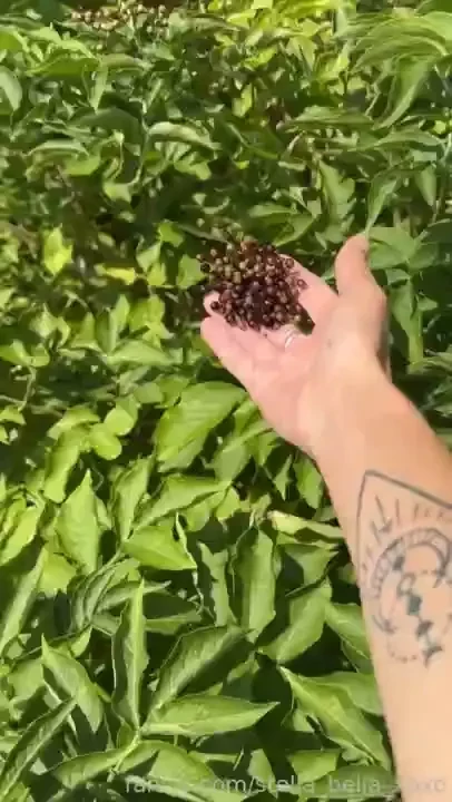 The last of today s wee sunny walk with some tunnel plug and a wee pov part 2 