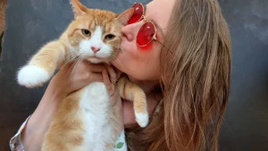 Publigetton is upon us uploading an update video now stay tuned in the