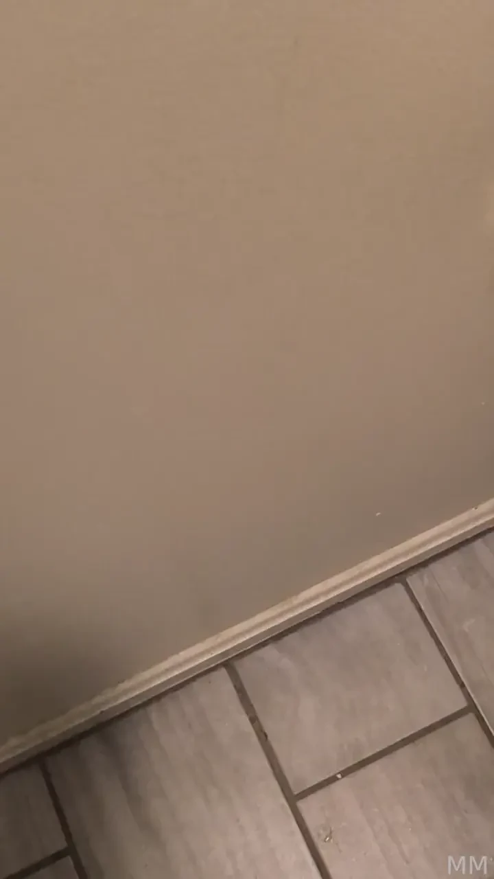 Squirting on my wall x3 for my subbies fyp 