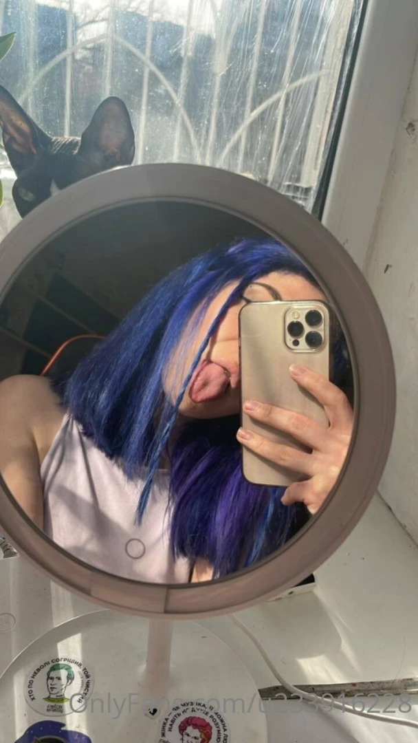 Solve the riddle how many cats do you see in the picture i love my pet 