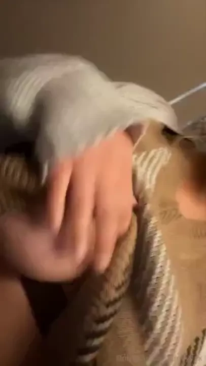 A treat for you who wants to play at work dm me 