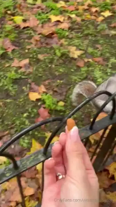 I had such a long day walking my dog amp feeding squirrels i look a part 2 