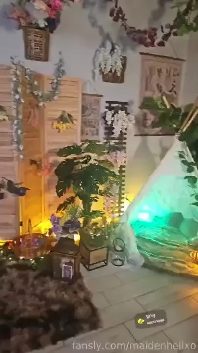 What a fun bunny week which costume was your favorite tags ebony 