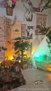 What a fun bunny week which costume was your favorite tags ebony