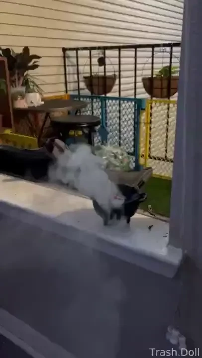 When you want your windows open but mosquitoes are assholes smoke em 