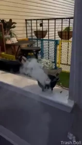 When you want your windows open but mosquitoes are assholes smoke em