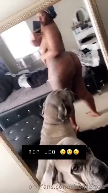 My dog passed last week and i ve been having a hard time filming 