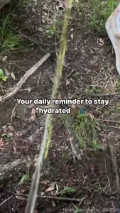 Crossing streams to show you how hydrated i really am and to tell yall