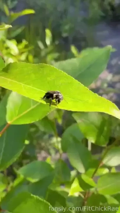 Be kind to every kind fyp topless kind nature outside boobs tummy 