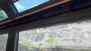 Sneaky peaky from the bullet train in japan i made it to the far east