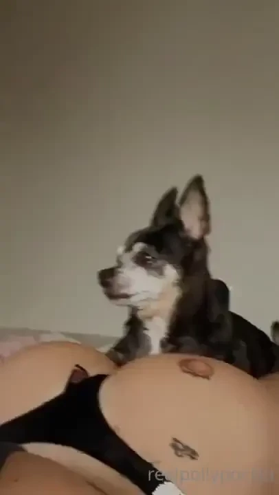 Her favorite spot to lay you wish you had this privilege 