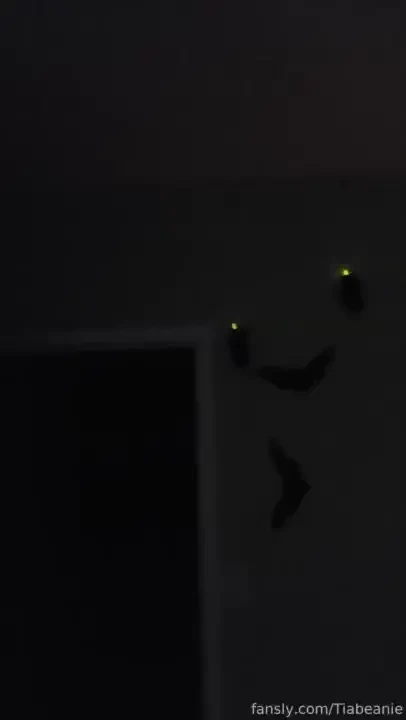 Behold i have no chill for halloween 